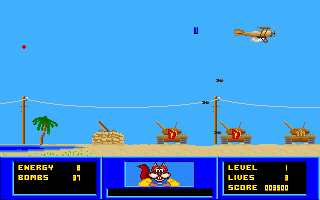 Desert Raid
