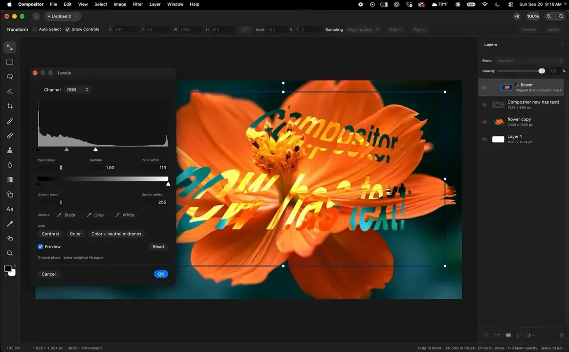 Compositor Photoshop Klonu Arayüzü