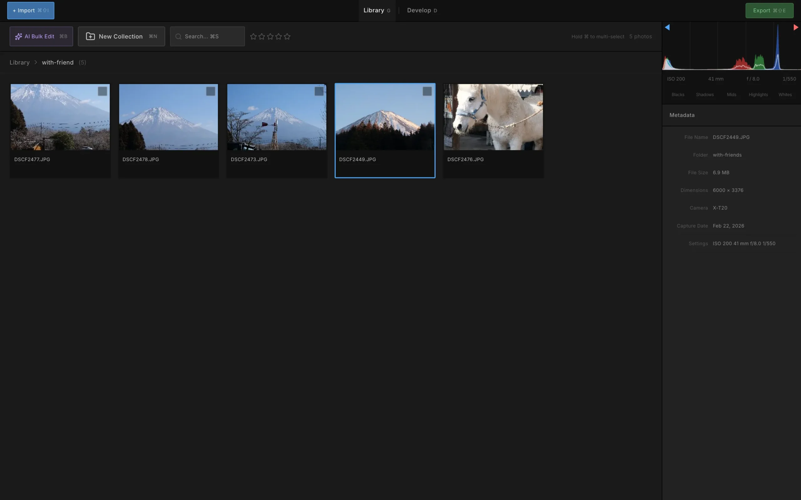 Zenliro Lightroom Klonu Arayüzü