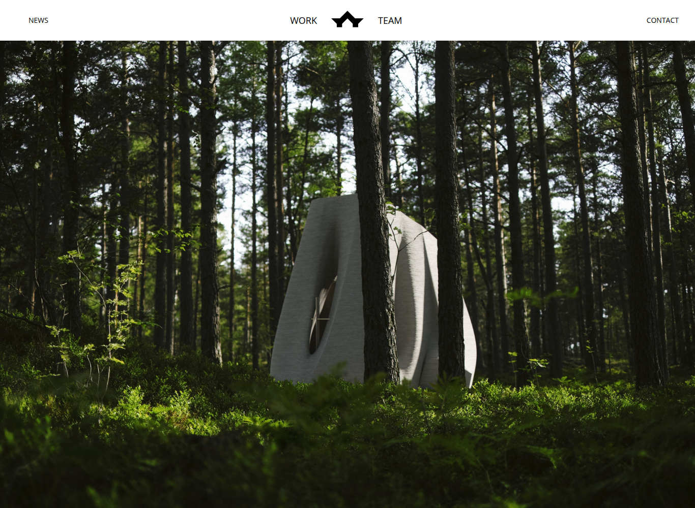 FlyingArchitecture official website screenshot