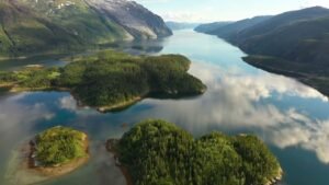 Relaxing Nature Video