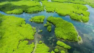 Water World 4K Relaxing Video – Ambient Music